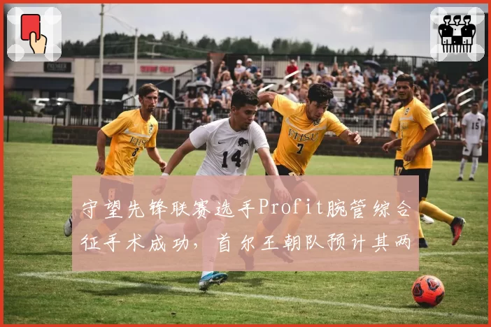 守望先锋联赛选手Profit腕管综合征手术成功，首尔王朝队预计其两月后复出