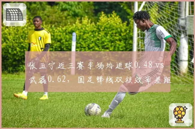 张玉宁近三赛季场均进球0.48 vs 武磊0.62，国足锋线双核效率差距拉大