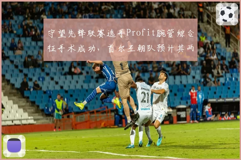 守望先锋联赛选手Profit腕管综合征手术成功，首尔王朝队预计其两月后复出